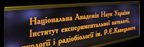 Великий акрилайт із замовним кольором підсвічування